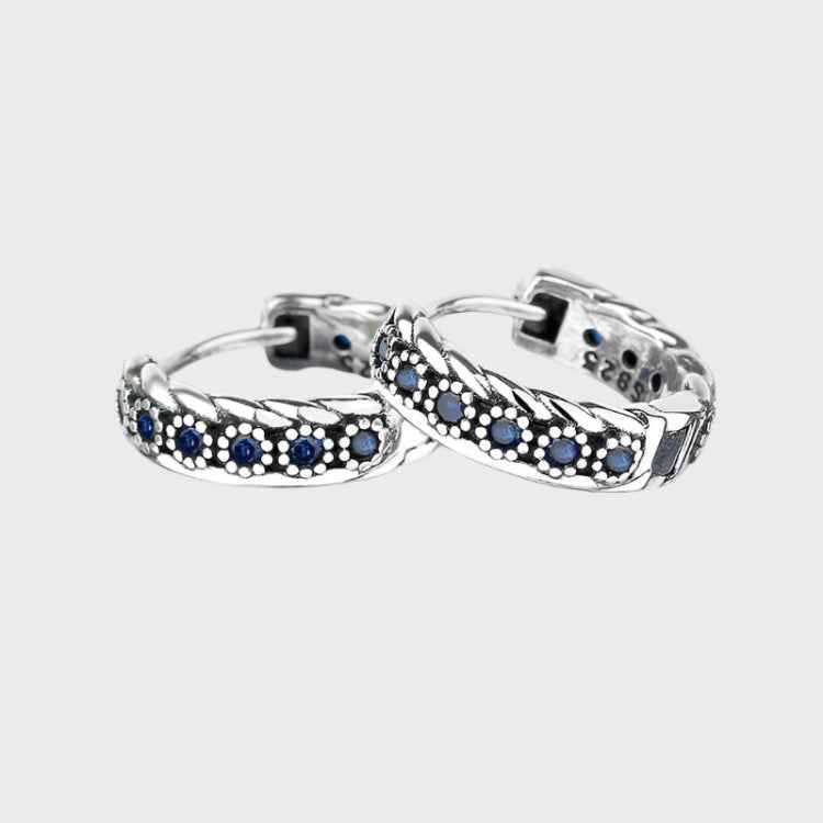 The Blue Woven Earrings